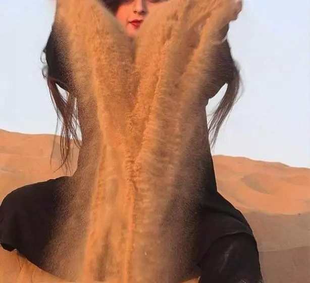 リゾートホテル Desert Safari Jaisalmer