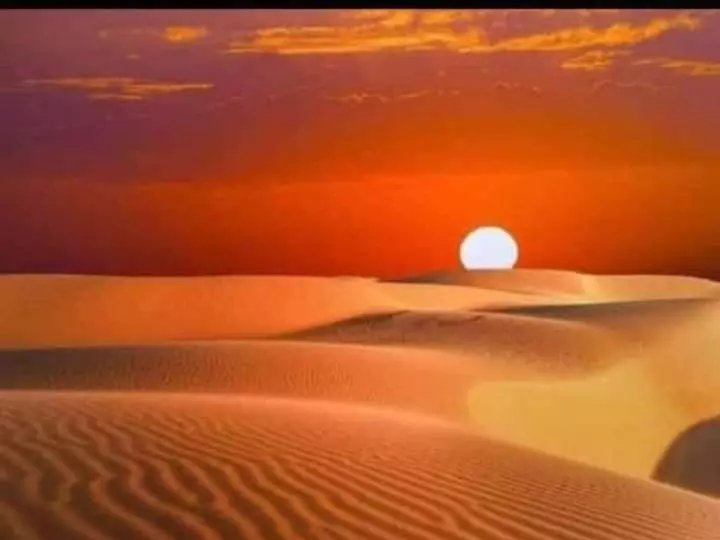 リゾートホテル Desert Safari Jaisalmer