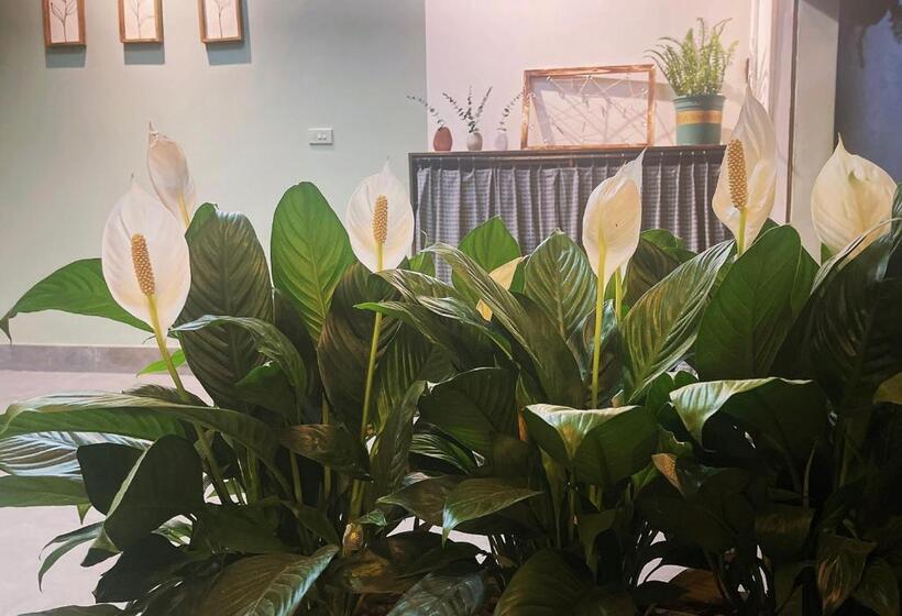 هتل Babahouse Homestay Thành Phố Vinh