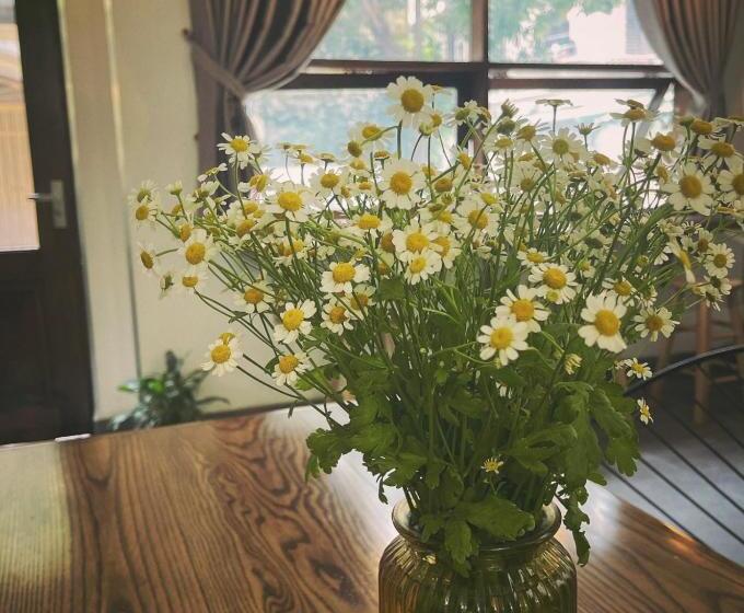 هتل Babahouse Homestay Thành Phố Vinh