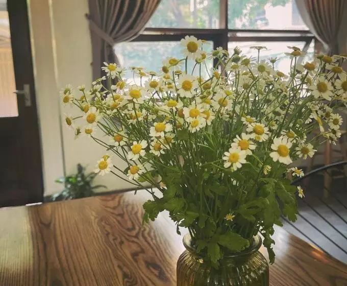 هتل Babahouse Homestay Thành Phố Vinh