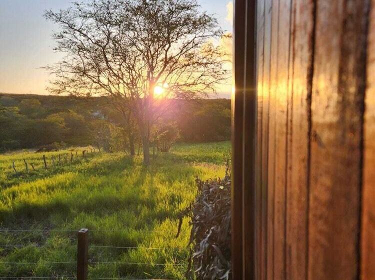 Общежитие Suítes Domo Do Matto