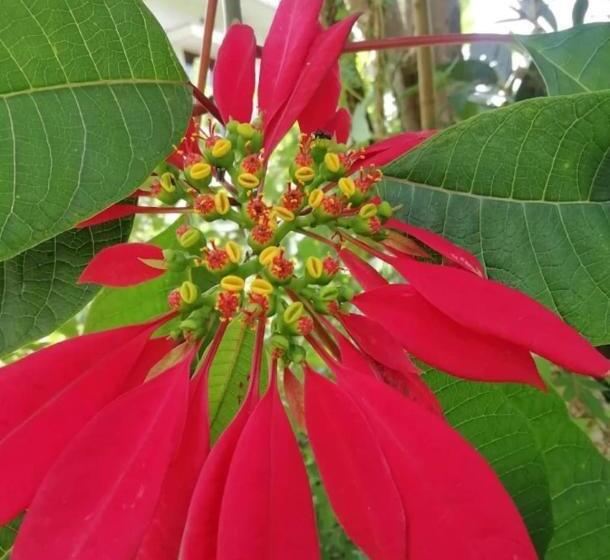 Hotell Wanders Hill For Elite Plaza