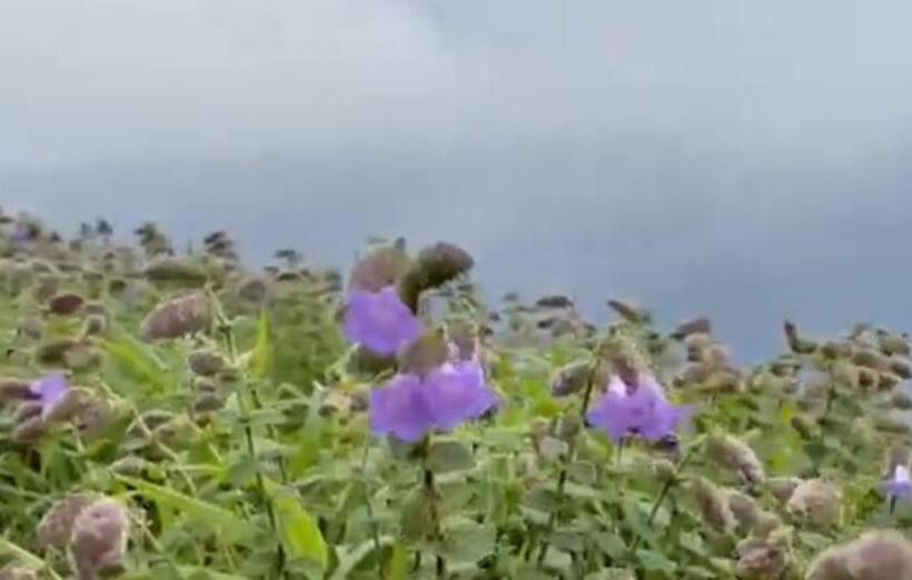 Hotell Wanders Hill For Elite Plaza