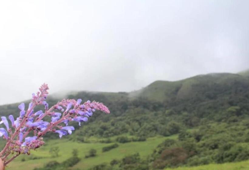 Hotell Wanders Hill For Elite Plaza