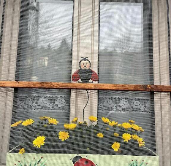 Coccinella B&b A Tufo