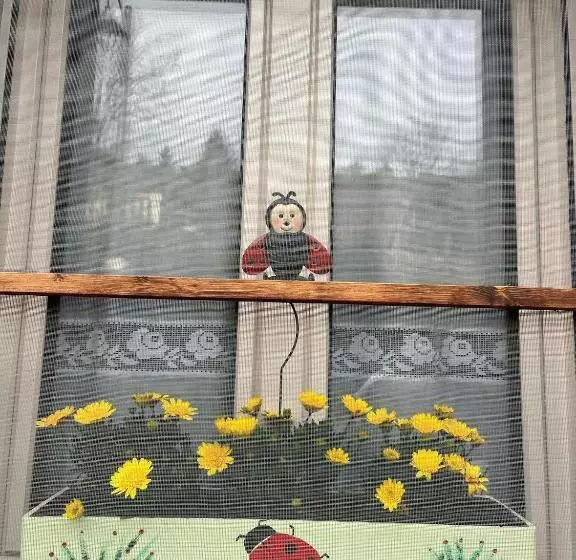 Coccinella B&b A Tufo