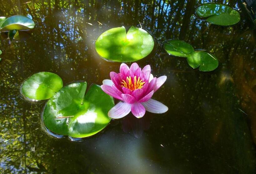 住宿加早餐  Domaine De Monein