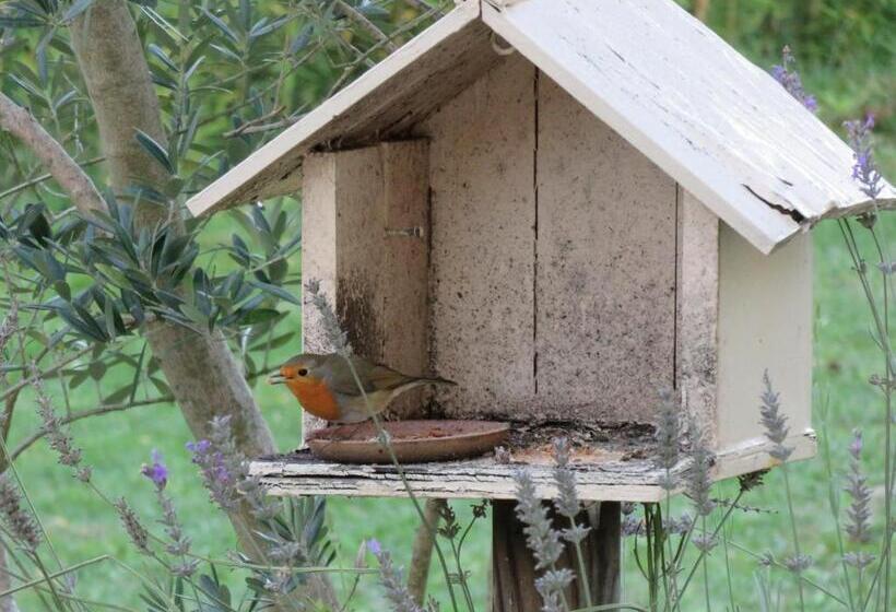 住宿加早餐  Domaine De Monein