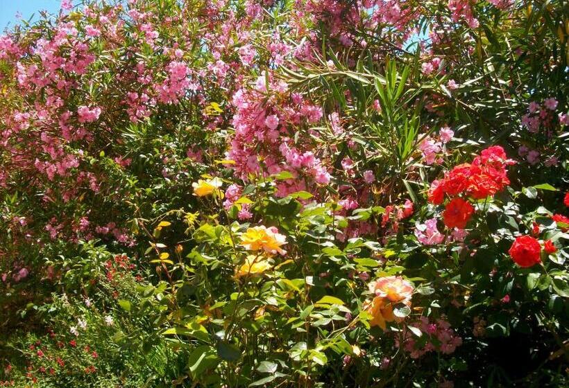 住宿加早餐  Domaine De Monein