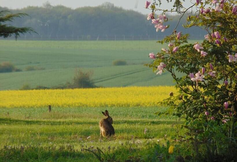 צימר La Ferme Aux Oies