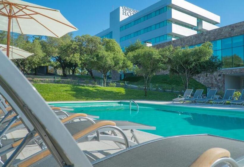 Orfeo Suites Hotel Sierras Chicas