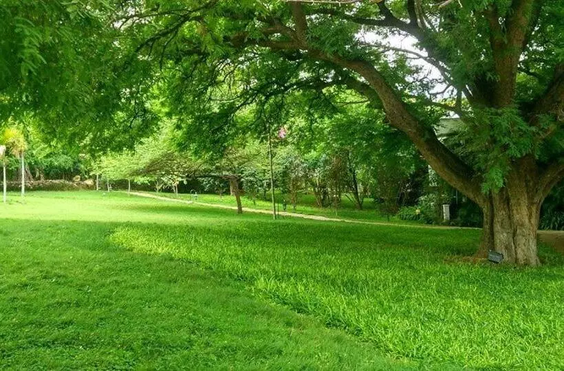 Lomakeskus Club Mahindra Golden Landmark, Mysuru