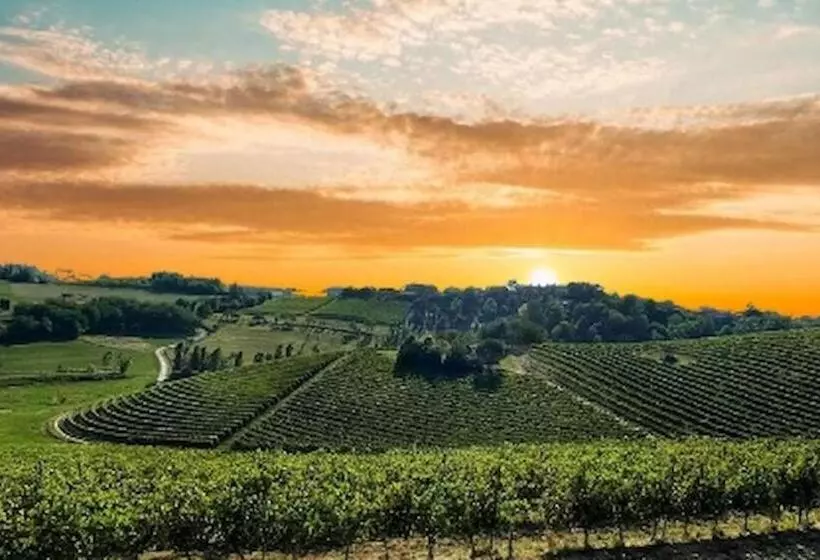 ペンション Room In Guest Room   La Culla Tra I Vigneti   Stanza