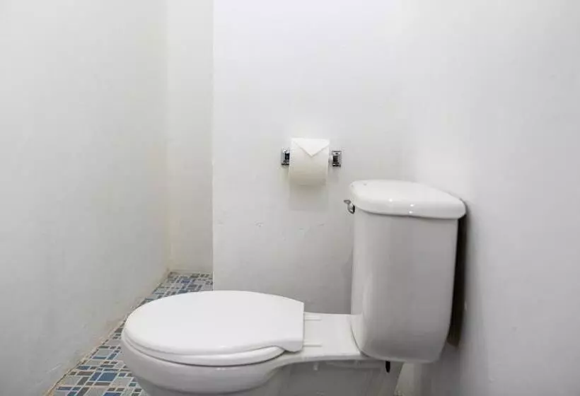 هاستل Hostal Victoria