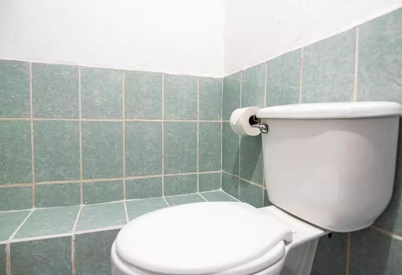 هاستل Hostal Victoria