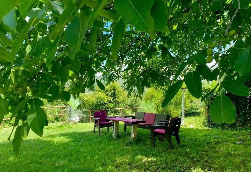 مبيت وإفطار Stanza Panoramica Dimora Bella Civita