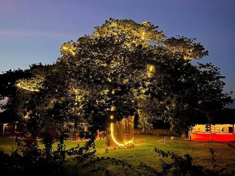 هتل The Funzi Keys