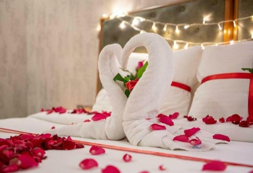 فندق زهرة جيزان