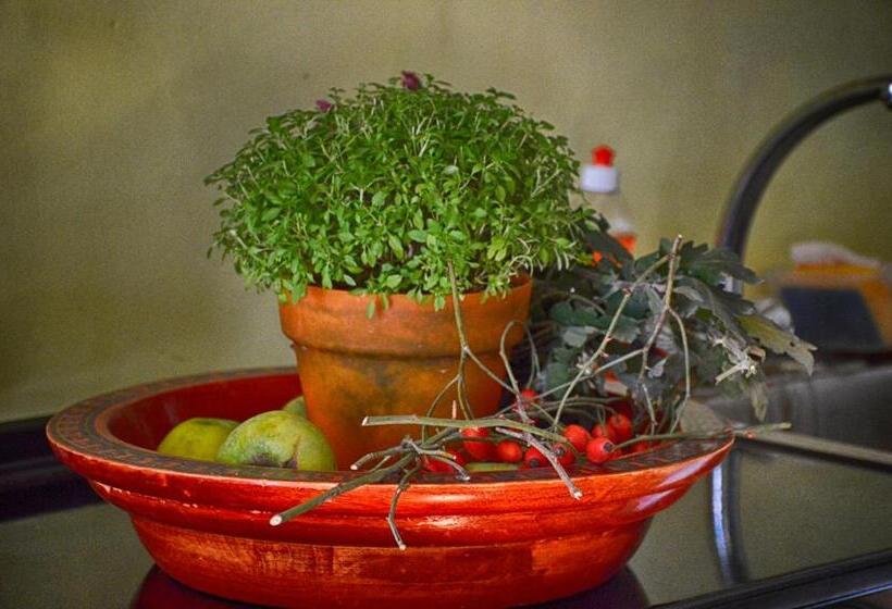 هاستل Art House Sweet Home