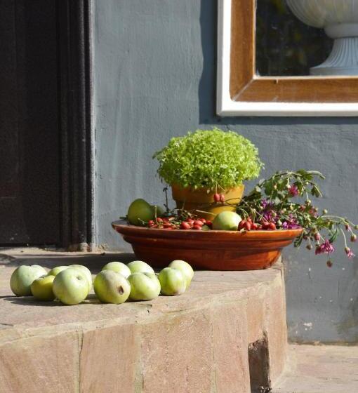 هاستل Art House Sweet Home