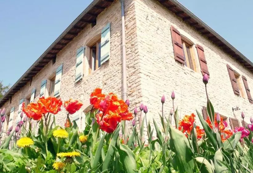 تختخواب و صبحانه Domaine Du Vernay