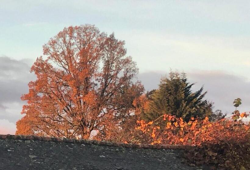 צימר La Verrerie De Guerlédan