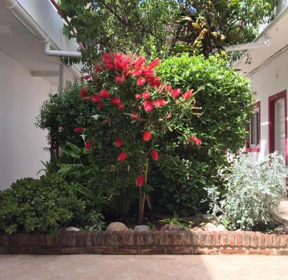 בית מלון כפרי Dany