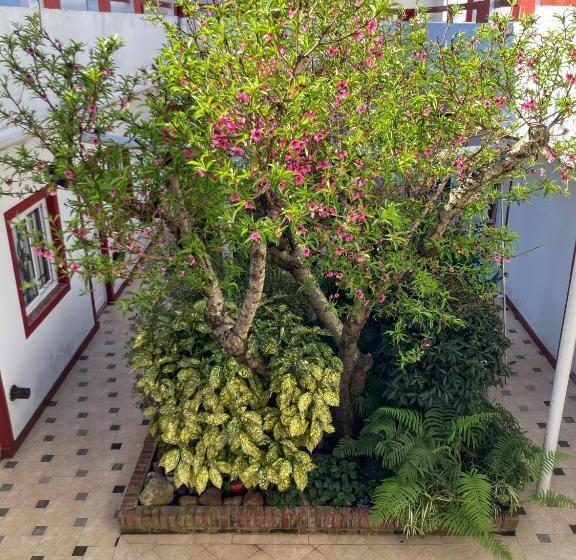 בית מלון כפרי Dany