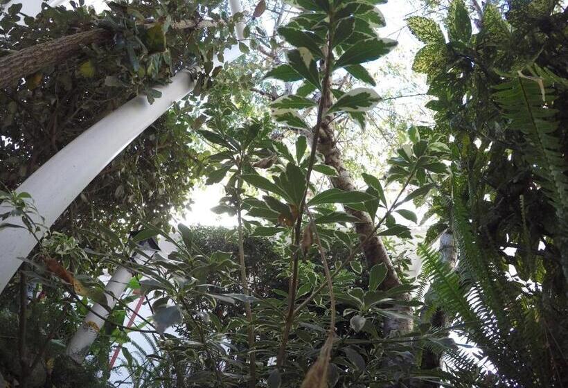 בית מלון כפרי Dany