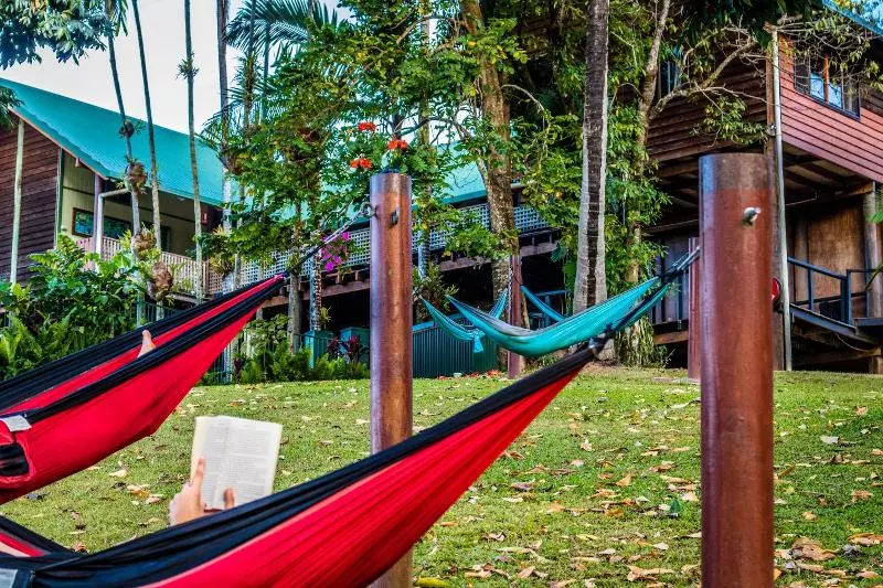 ユースホステル Jackaroo Treehouse Rainforest Retreat
