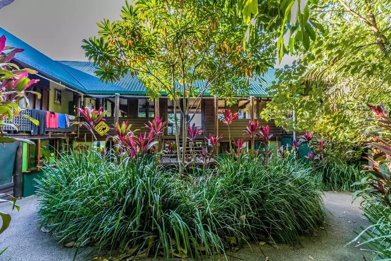 ユースホステル Jackaroo Treehouse Rainforest Retreat