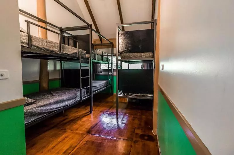 ユースホステル Jackaroo Treehouse Rainforest Retreat