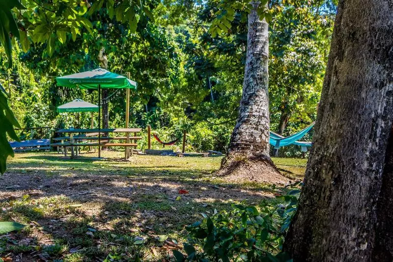 ユースホステル Jackaroo Treehouse Rainforest Retreat