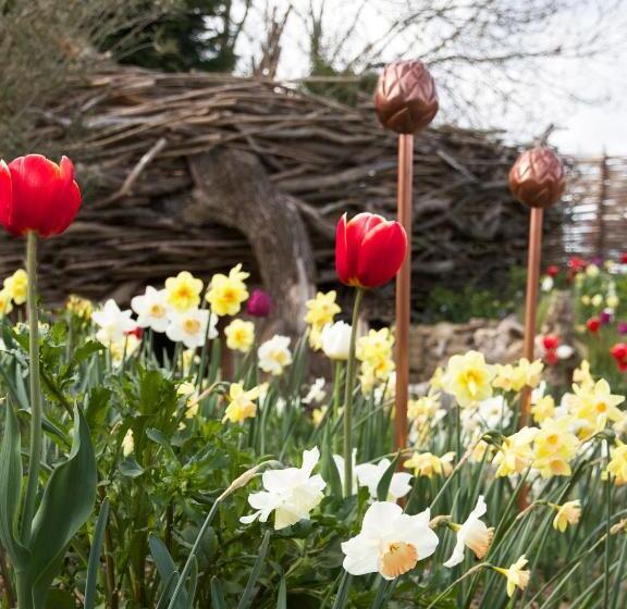 فندق The Bell In Ticehurst