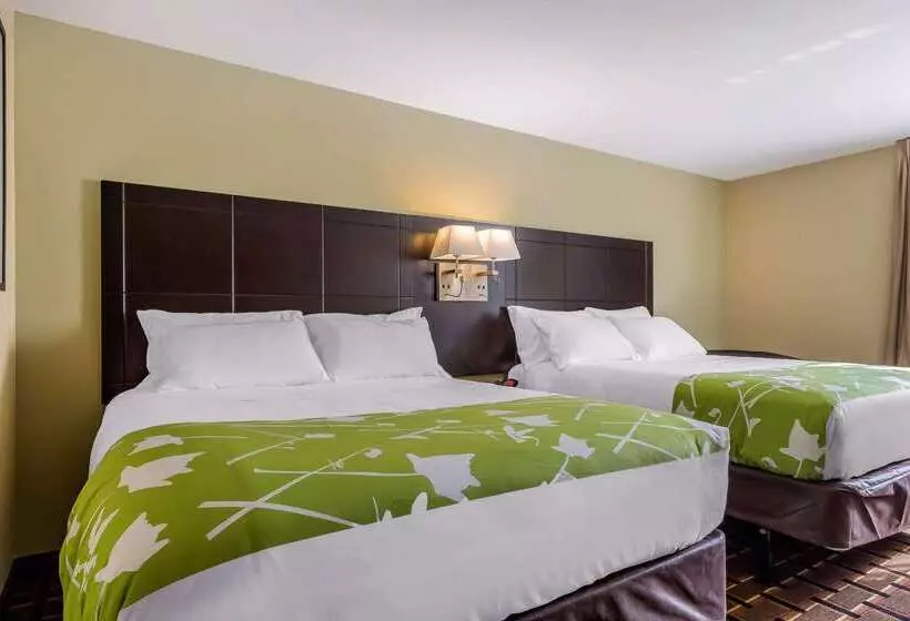 ホテル Econo Lodge Boaz