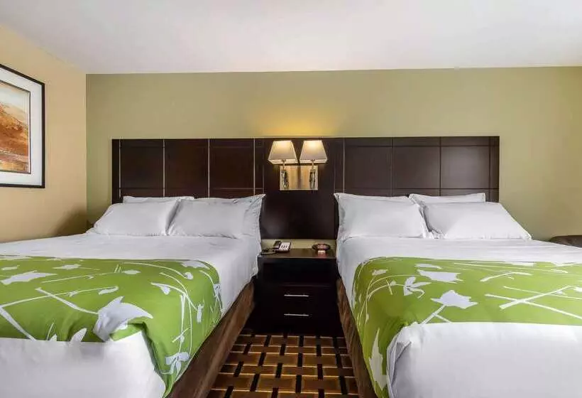 ホテル Econo Lodge Boaz