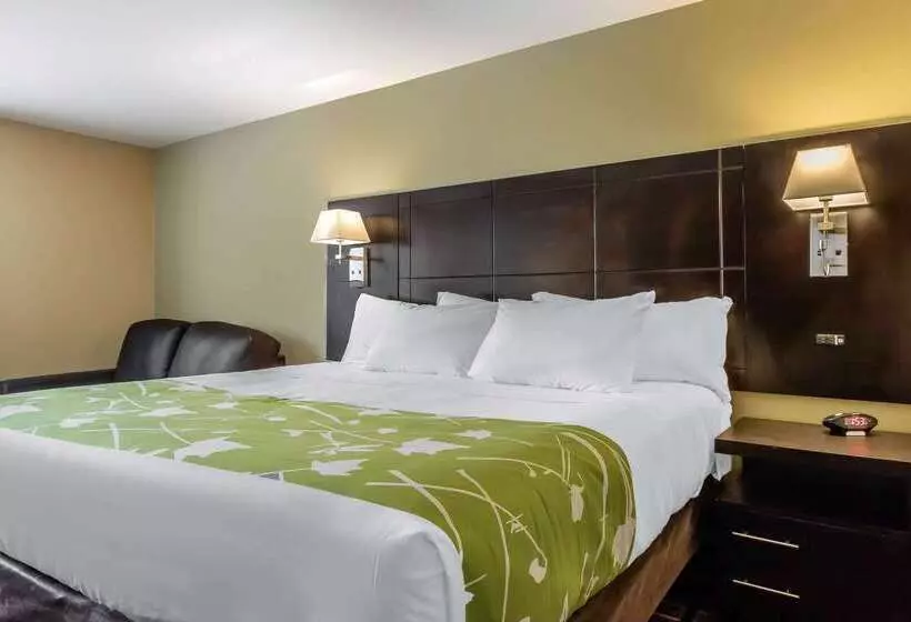ホテル Econo Lodge Boaz