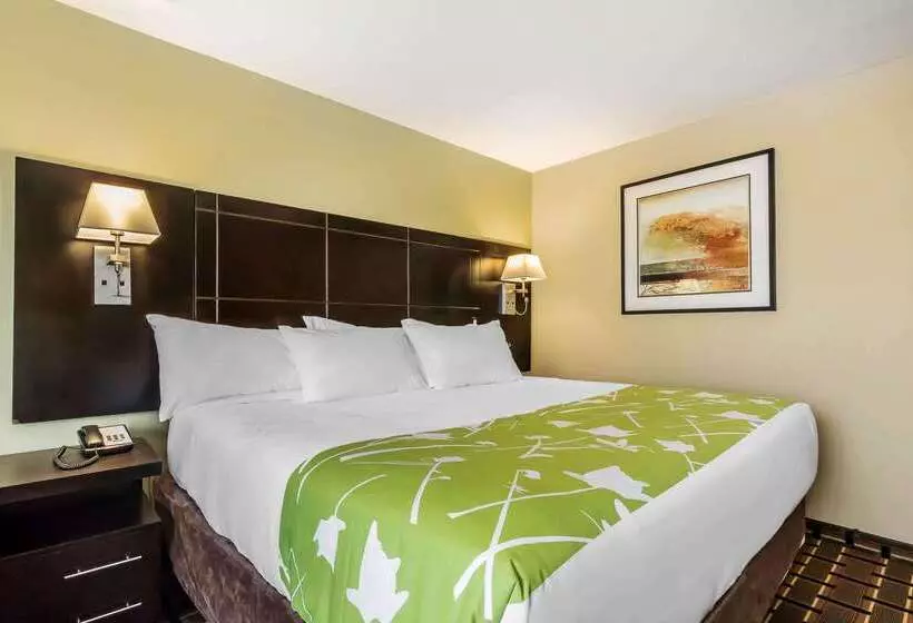 ホテル Econo Lodge Boaz
