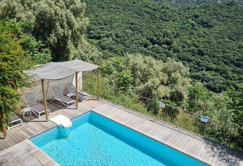 هتل Hôtel Villa Les Orangers