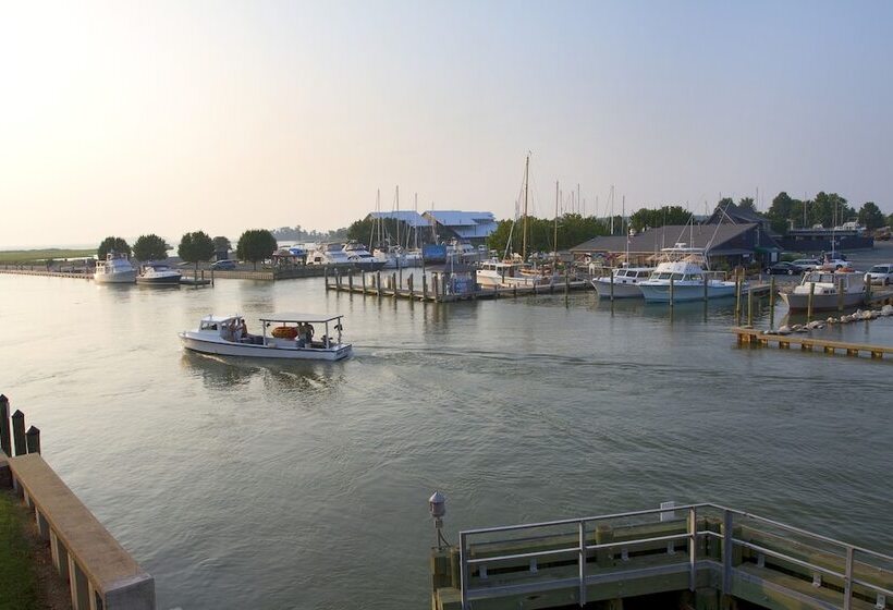 酒店 Knapps Narrows Marina & Inn