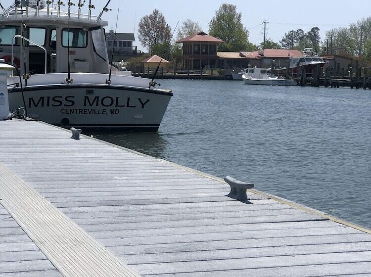 酒店 Knapps Narrows Marina & Inn