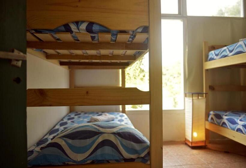Pinamar Hostel Casa De Verano