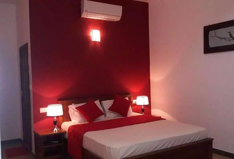 New Rani Inn
