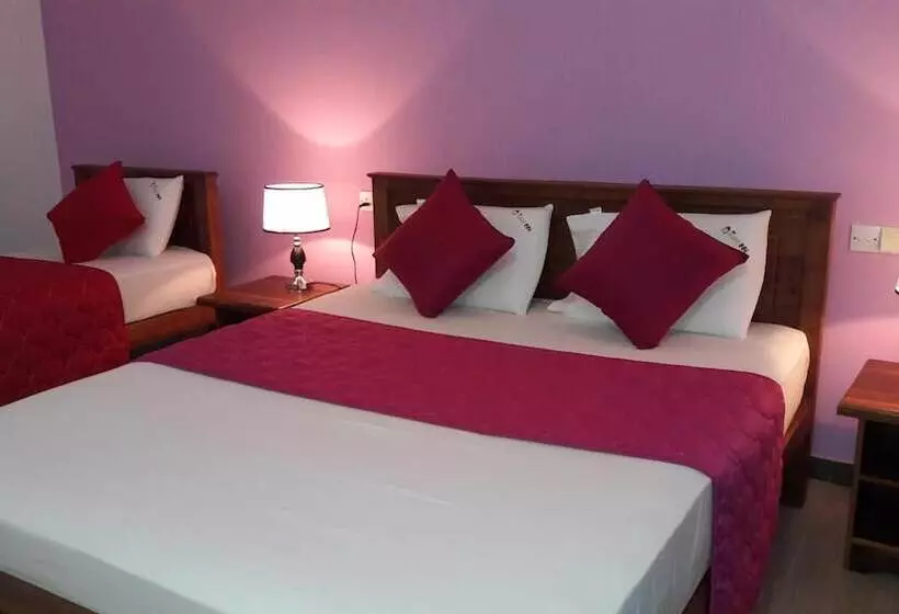 New Rani Inn