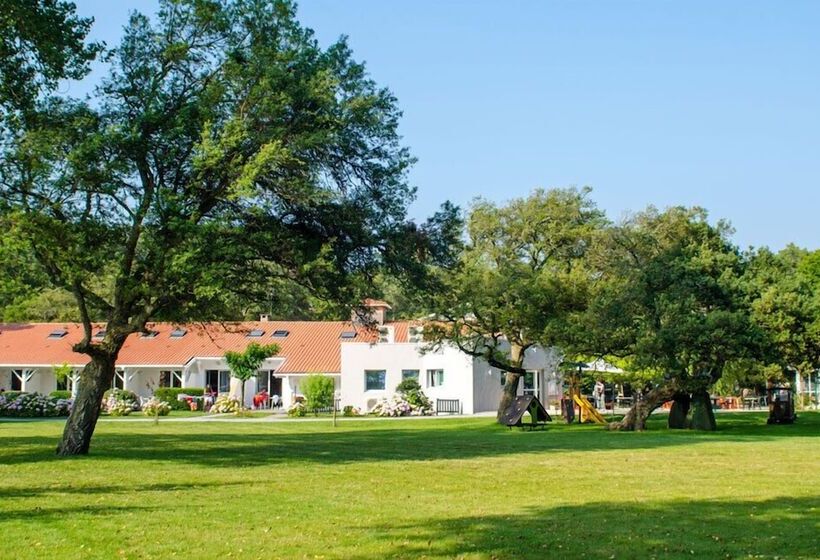 リゾートホテル Cap Ocean