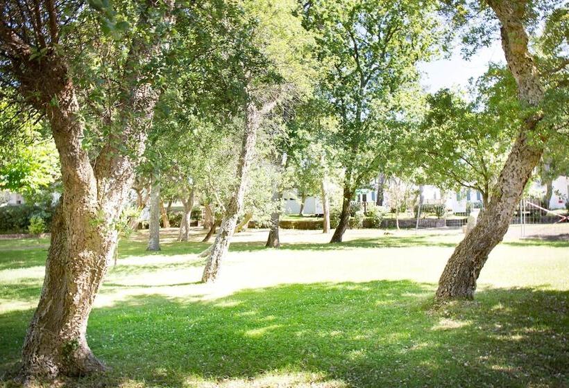 リゾートホテル Cap Ocean