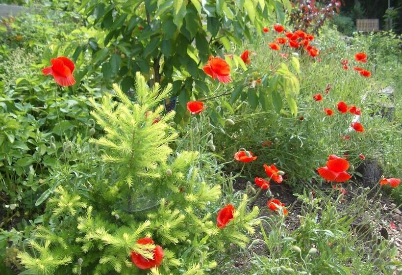 Roomantic Apartments