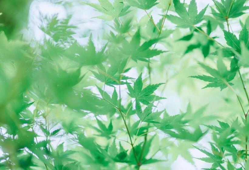 旅館 Terrace Midoubaru