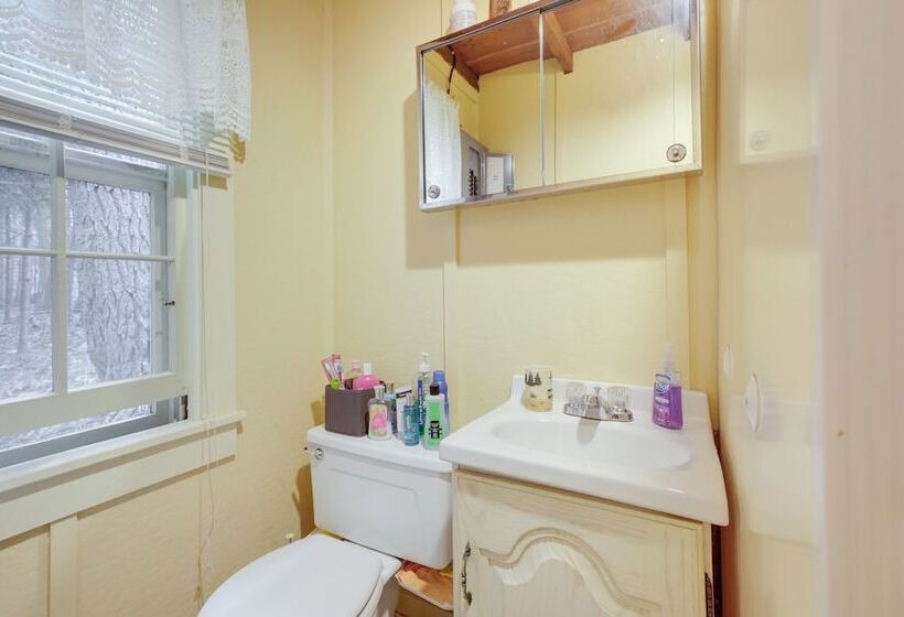 Lakefront Rhinelander Cabin W/ Boat Dock!